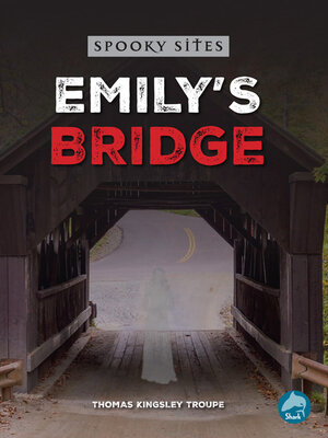 cover image of Emily's Bridge